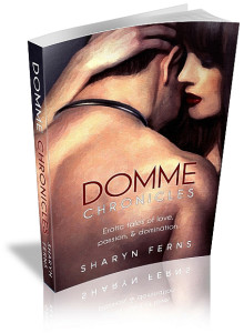 Domme Chronicles hard cover mockup